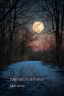 Splendid In Its Silence