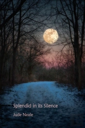 Splendid In Its Silence