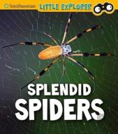 Splendid Spiders