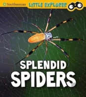 Splendid Spiders