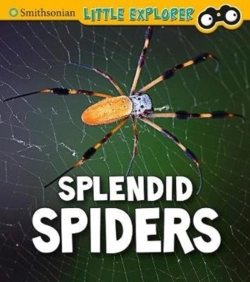 Bertrand.pt - Splendid Spiders