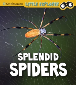 Bertrand.pt - Splendid Spiders