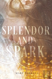 Splendor And Spark