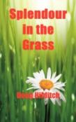 Splendour In The Grass