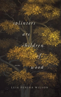 Bertrand.pt - Splinters Are Children Of Wood