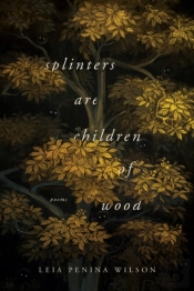 Splinters Are Children Of Wood