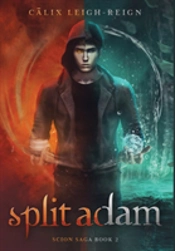 Split Adam