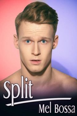 Bertrand.pt - Split