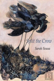Split The Crow