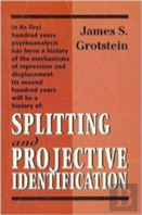 Splitting And Projective Identification