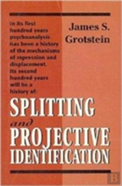 Bertrand.pt - Splitting And Projective Identification