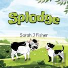 Splodge