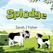 Splodge