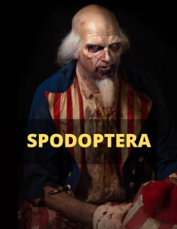Bertrand.pt - Spodoptera