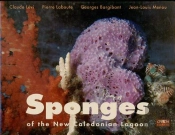 Sponges Of The New Caledonian Lagoon