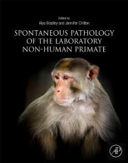 Spontaneous Pathology Of The Laboratory Non-Human Primate