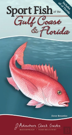Bertrand.pt - Sport Fish Of The Gulf Coast & Florida