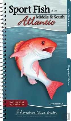Bertrand.pt - Sport Fish Of The Middle & South Atlantic