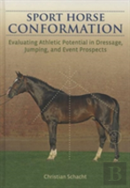Sport Horse Conformation