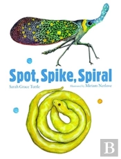 Spot, Spike, Spiral