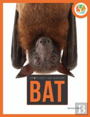 Spotlight On Nature: Bat