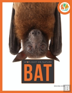 Bertrand.pt - Spotlight On Nature: Bat