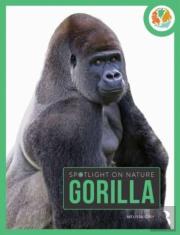 Spotlight On Nature: Gorilla