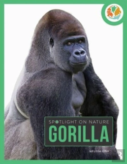 Bertrand.pt - Spotlight On Nature: Gorilla