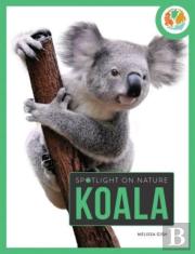 Spotlight On Nature: Koala