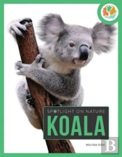 Spotlight On Nature: Koala