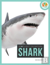 Spotlight On Nature: Shark