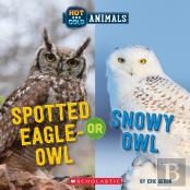 Spotted Eagle-Owl Or Snowy Owl (Wild World: Hot And Cold Animals)