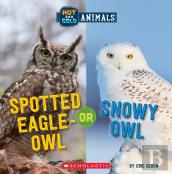 Spotted Eagle-Owl Or Snowy Owl (Wild World: Hot And Cold Animals)