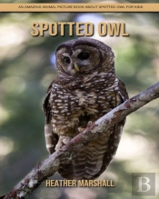 Spotted Owl