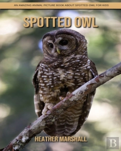 Bertrand.pt - Spotted Owl