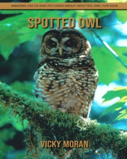 Bertrand.pt - Spotted Owl