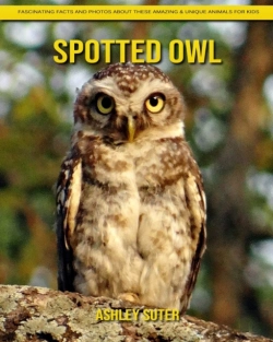 Bertrand.pt - Spotted Owl