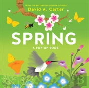 Spring A Pop Up Book