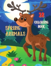 Spring Animals Coloring Book