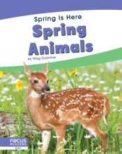 Spring Animals
