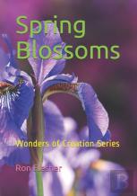 Spring Blossoms