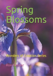 Spring Blossoms