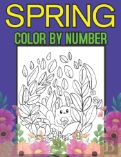 Spring Color By Number