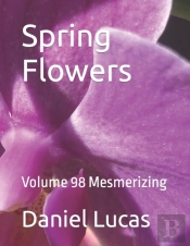 Spring Flowers