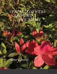 Spring Flowers
