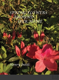Bertrand.pt - Spring Flowers