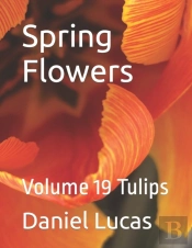 Spring Flowers