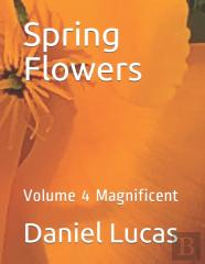 Spring Flowers