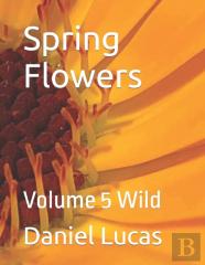 Spring Flowers