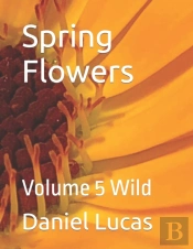 Spring Flowers
